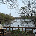 井之頭公園3.jpg