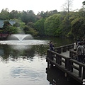 井之頭公園5.jpg