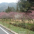 wuling farm2.jpg