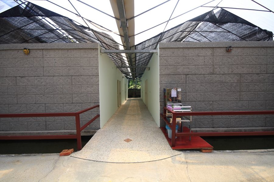 南投20-40人包棟-日月潭卉芯蘭園