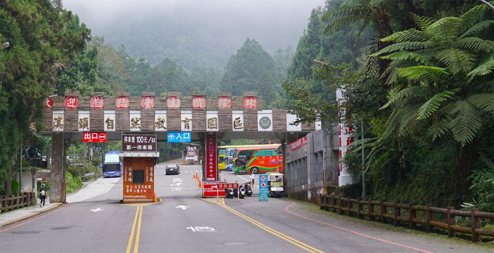 溪頭賞螢-溪頭新大門 溪頭賞螢-溪頭新大門