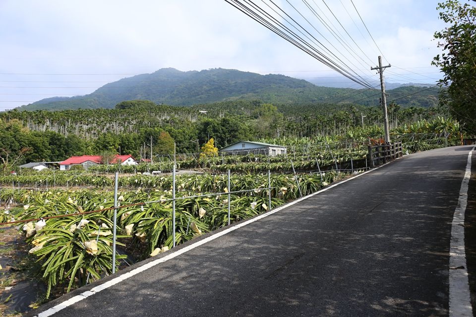 集集景點一日遊-秋水緣影雕工作室-鄉間小徑