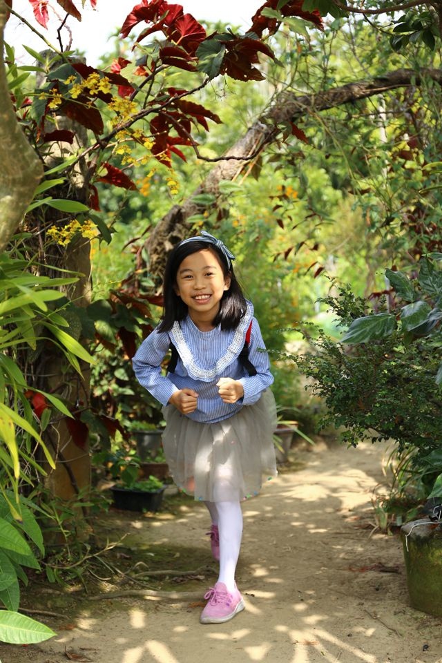 集集景點一日遊-秋水緣影雕工作室-綠蔭隧道