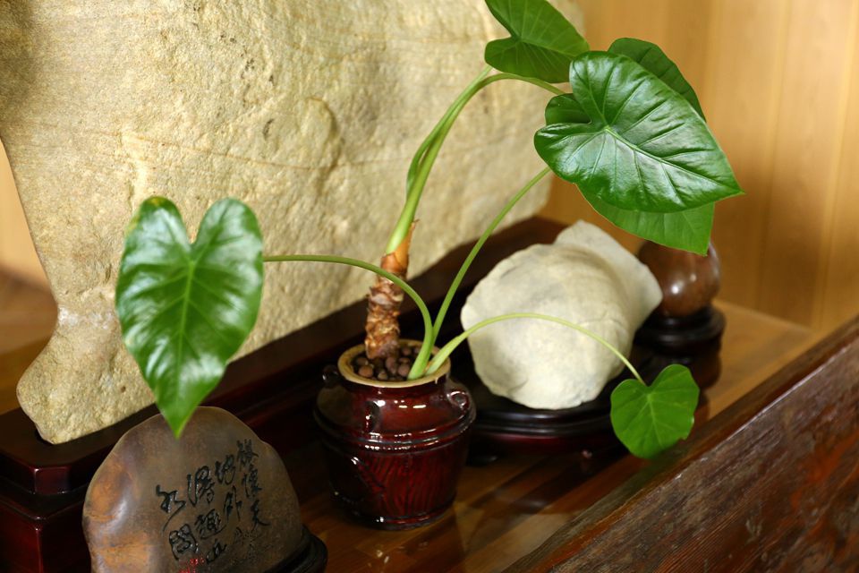 集集景點一日遊-秋水緣影雕工作室-藝品展示