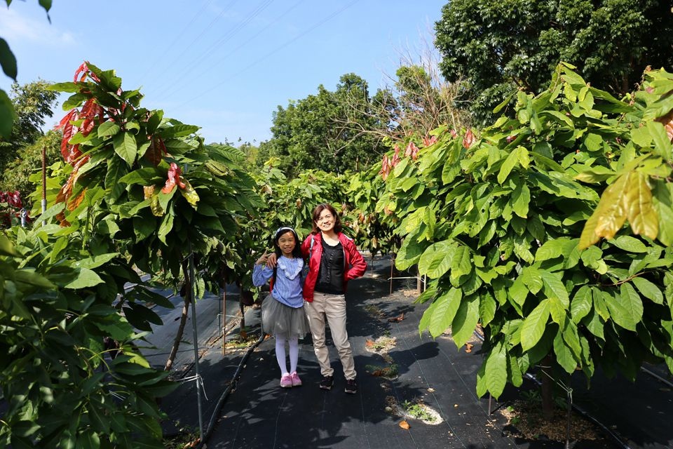 集集景點一日遊-秋水緣影雕工作室-可可樹園