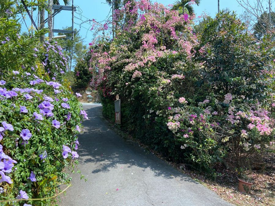 日月潭包棟-澀水田園民宿-庭園花卉