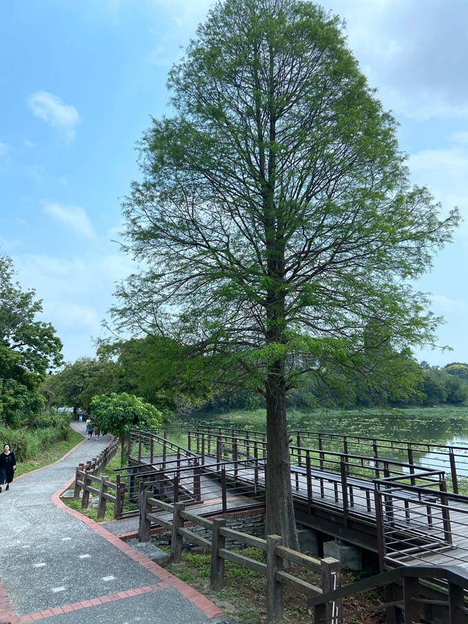 新竹景點-峨眉湖步道