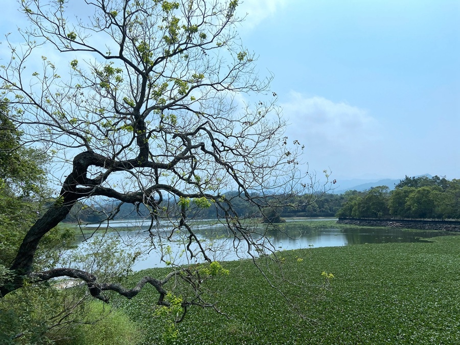 新竹景點-峨眉湖步道