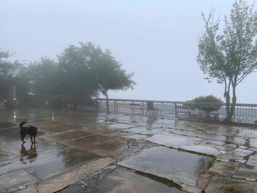 新竹住宿-梅門大義山莊-晨霧