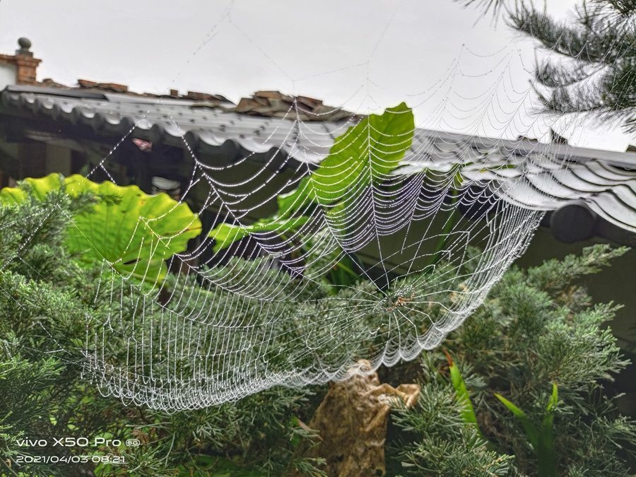 新竹住宿-梅門大義山莊-晨霧