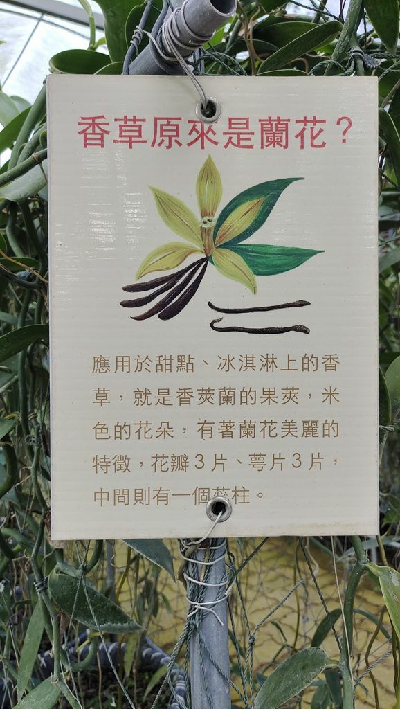 蘭科植物園&附設幸福花園餐廳-香草解說牌