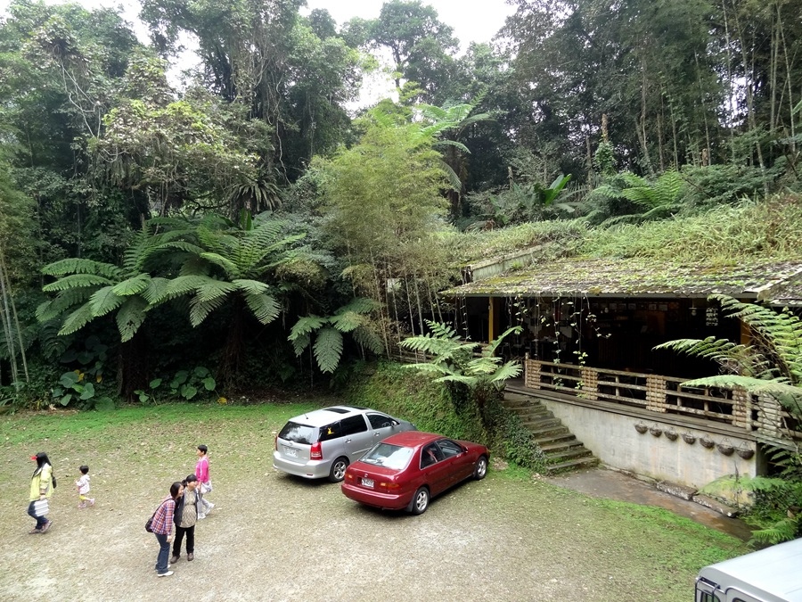 溪頭景觀餐廳-竹亭咖啡 溪頭景觀餐廳-竹亭咖啡