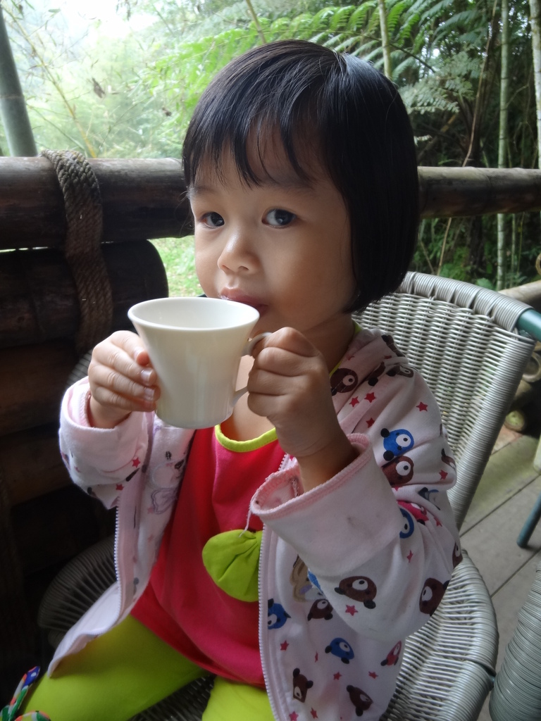 溪頭景觀餐廳-竹亭咖啡-飯後飲茶 溪頭景觀餐廳-竹亭咖啡-飯後飲茶