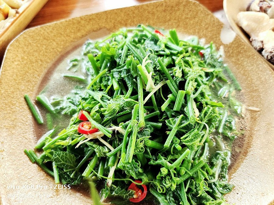 溪頭美食-小半天竹棧餐廳-龍鬚菜 溪頭美食-小半天竹棧餐廳-龍鬚菜