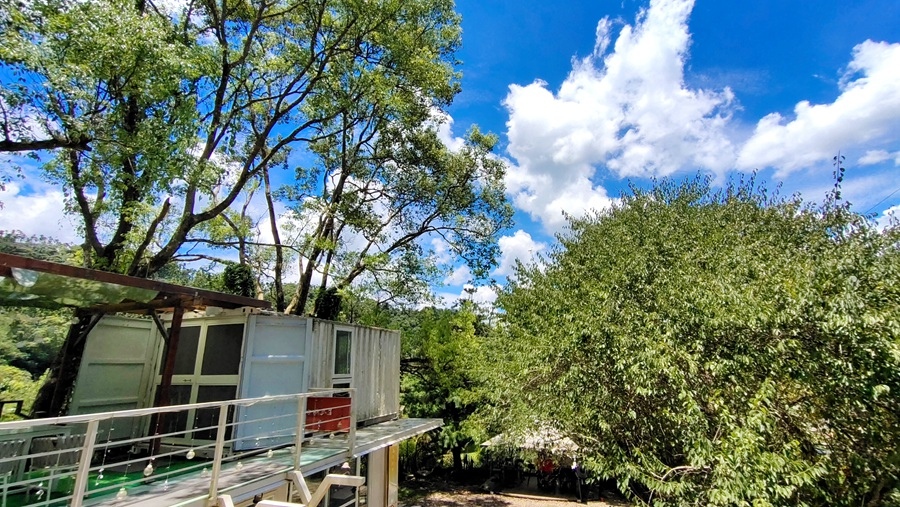 日月潭素食餐廳-坐忘松云