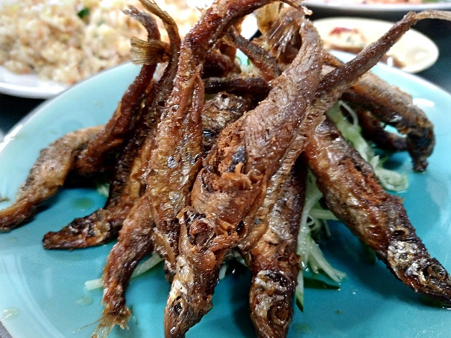 南投竹山美食餐廳-森 日本料理