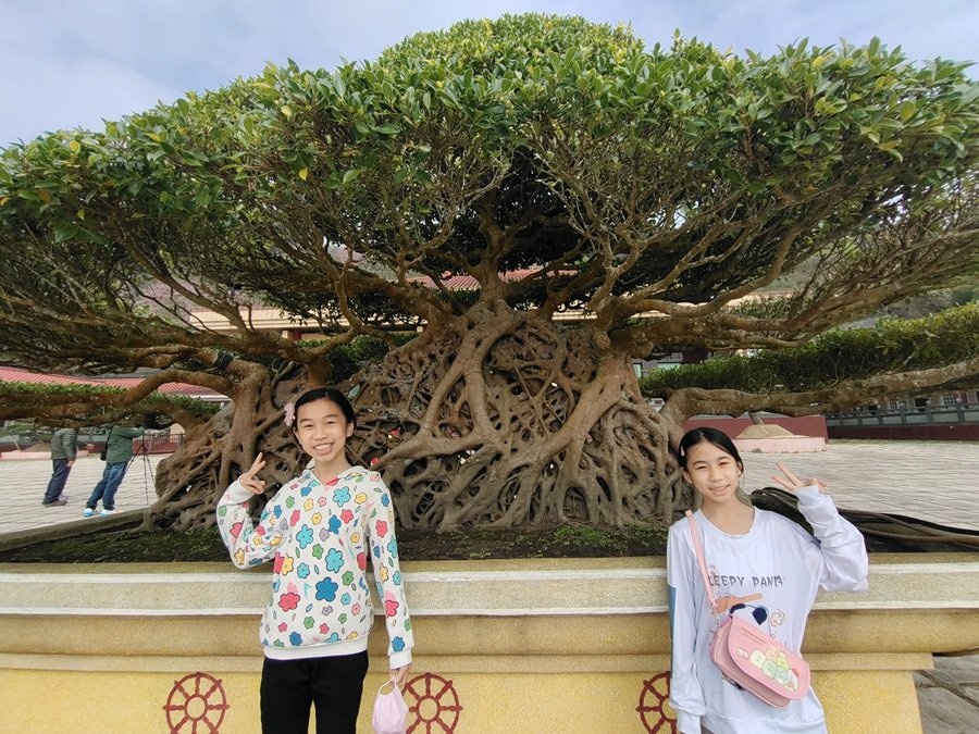 嘉義阿里山彌陀禪寺賞櫻與參拜三寶佛 嘉義阿里山彌陀禪寺賞櫻與參拜三寶佛