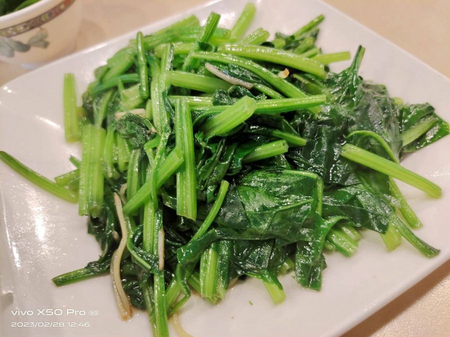 台南素食餐廳-林家素食