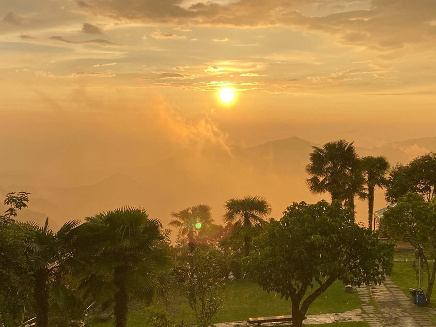 阿里山雲景露營區-夕陽雲海宛若仙境美景,阿里山林深深森呼吸.