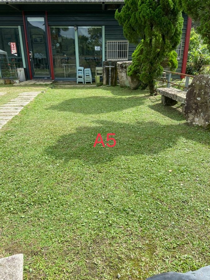 阿里山雲景露營區-夕陽雲海宛若仙境美景,阿里山林深深森呼吸.