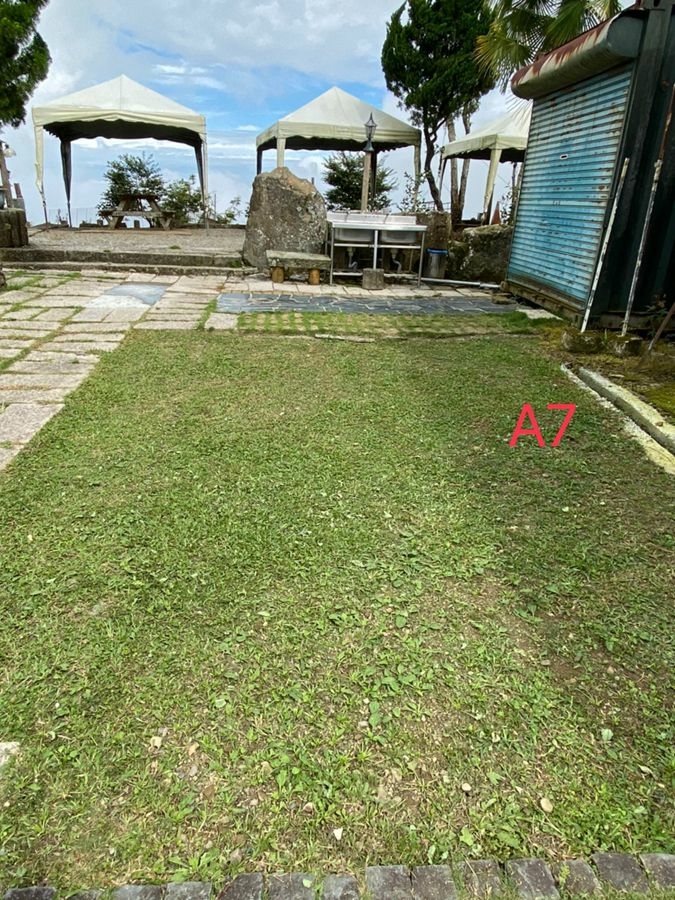 阿里山雲景露營區-夕陽雲海宛若仙境美景,阿里山林深深森呼吸.