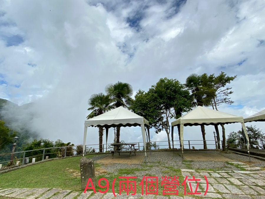 阿里山雲景露營區-夕陽雲海宛若仙境美景,阿里山林深深森呼吸.