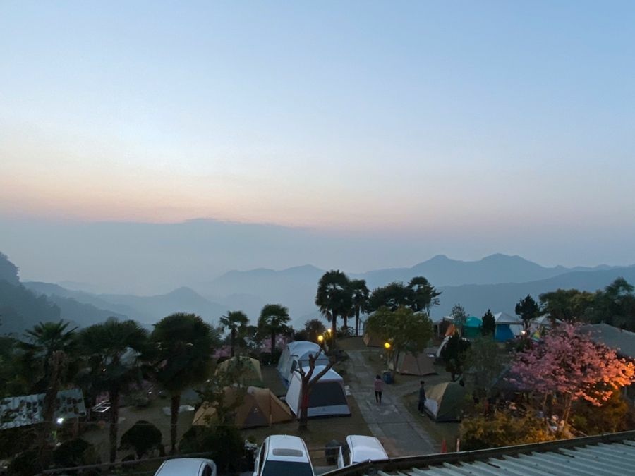 阿里山雲景露營區-夕陽雲海宛若仙境美景,阿里山林深深森呼吸.