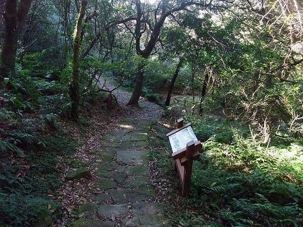 向天山、面天湖、二字坪 (37).JPG