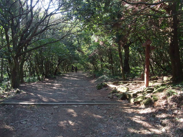 向天山、面天湖、二字坪 (46).JPG