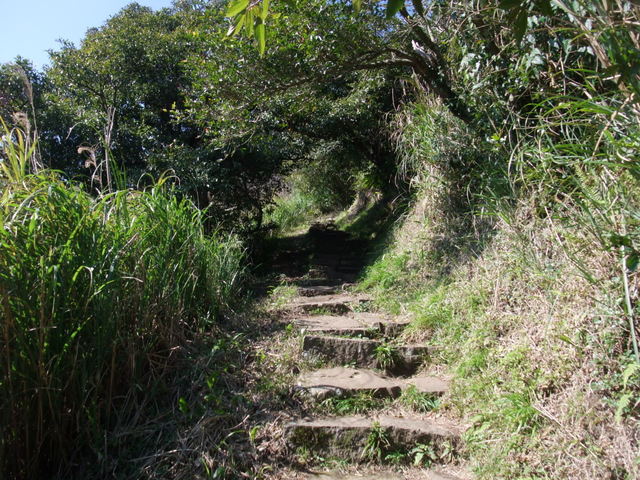 向天山、面天湖、二字坪 (59).JPG