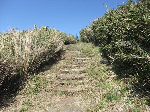 向天山、面天湖、二字坪 (73).JPG