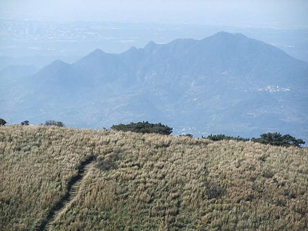 向天山、面天湖、二字坪 (105).JPG