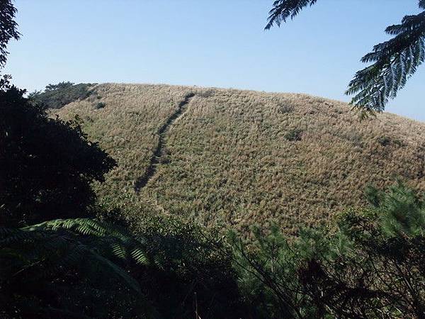 向天山、面天湖、二字坪 (115).JPG