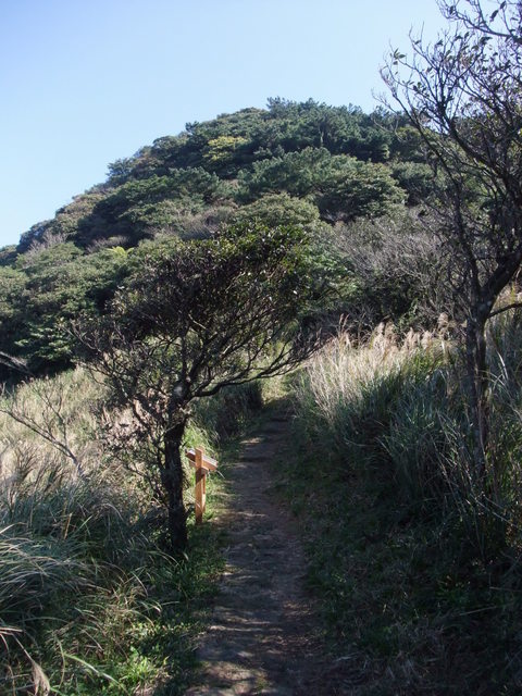 向天山、面天湖、二字坪 (120).JPG