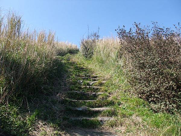 向天山、面天湖、二字坪 (124).JPG