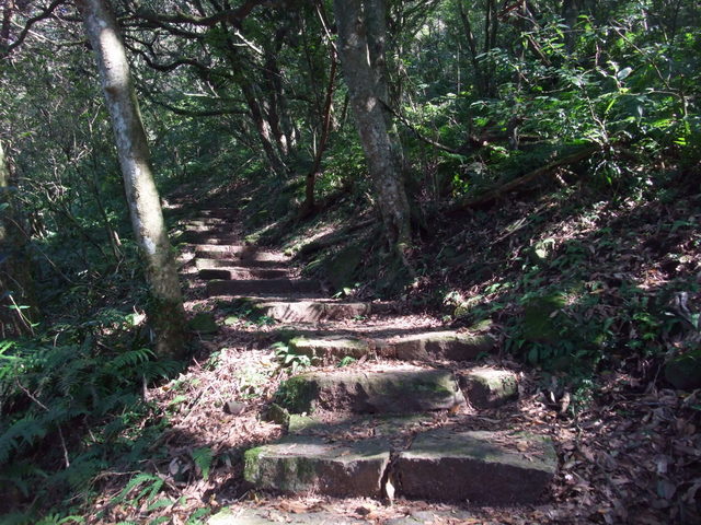 向天山、面天湖、二字坪 (138).JPG