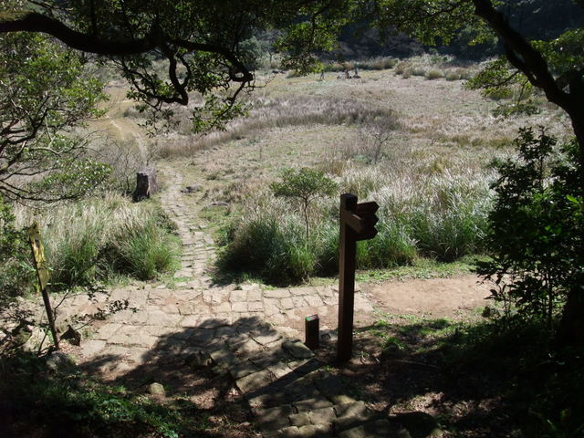 向天山、面天湖、二字坪 (153).JPG