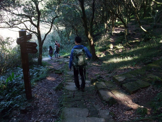 向天山、面天湖、二字坪 (180).JPG