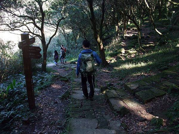 向天山、面天湖、二字坪 (180).JPG