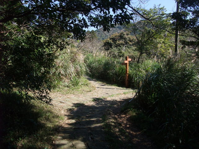 向天山、面天湖、二字坪 (197).JPG