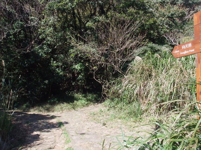 向天山、面天湖、二字坪 (201).JPG