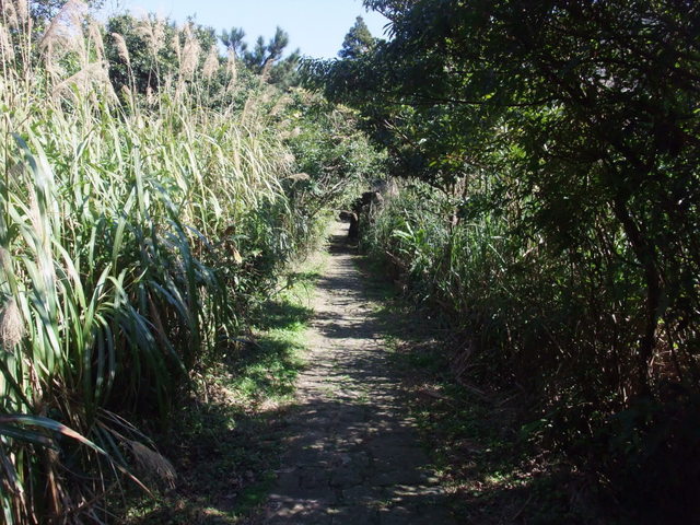 向天山、面天湖、二字坪 (205).JPG