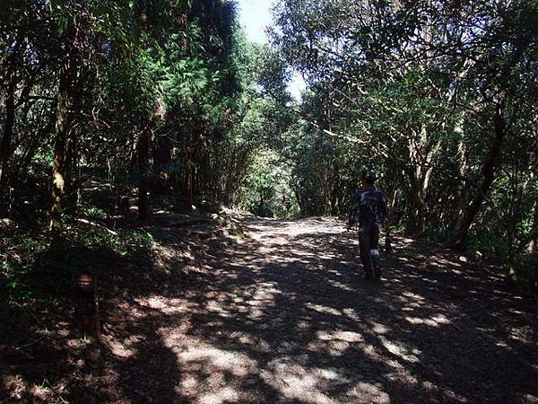 向天山、面天湖、二字坪 (230).JPG