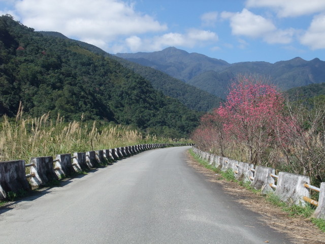 松羅國家步道 (10).JPG