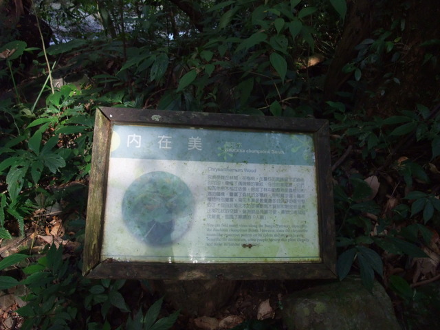 松羅國家步道 (126).JPG