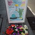 DSCN6372.JPG
