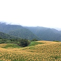 IMG_E8226.JPG