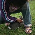 Bunny093.jpg