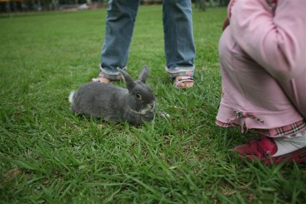 Bunny096.jpg