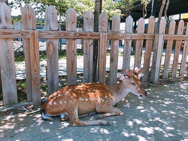 UNADJUSTEDNONRAW_thumb_3e42.jpg UNADJUSTEDNONRAW_thumb_3e42.jpg